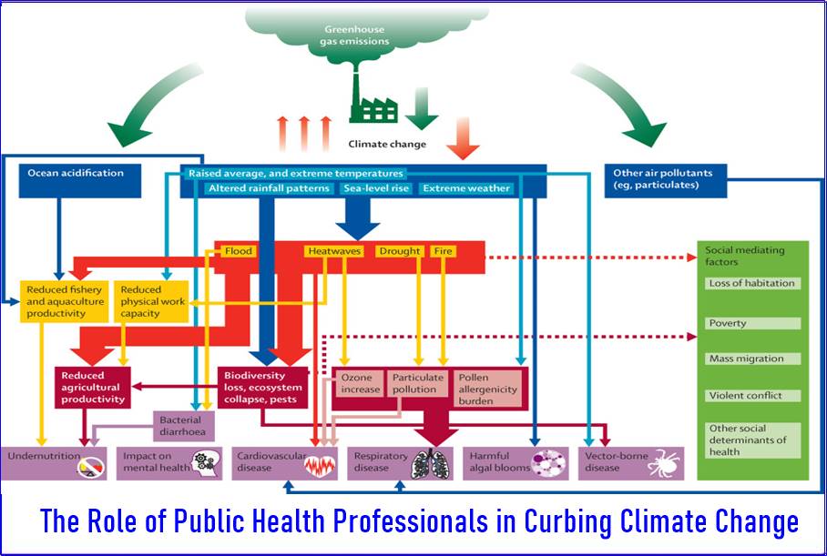 The Role of Public Health Professionals in Curbing Climate Change