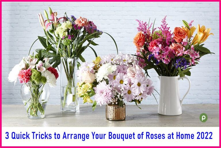 3 Quick Tricks to Arrange Your Bouquet of Roses at Home 2022