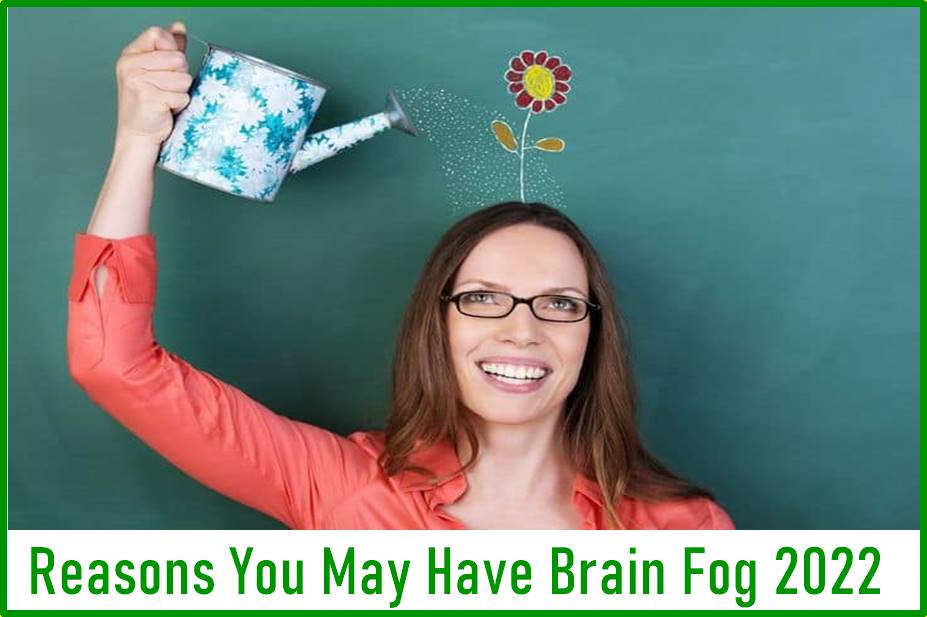 Reasons You May Have Brain Fog 2022