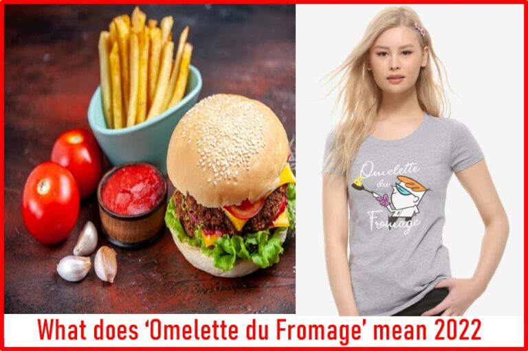 what-does-omelette-du-fromage-mean-updated-2023-make-easy-life