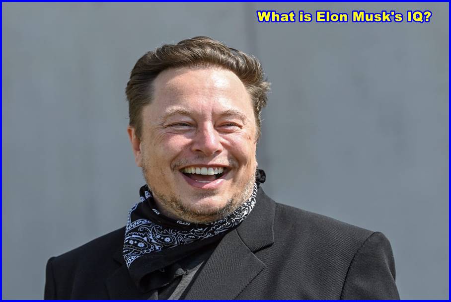 What is Elon Musk’s IQ?