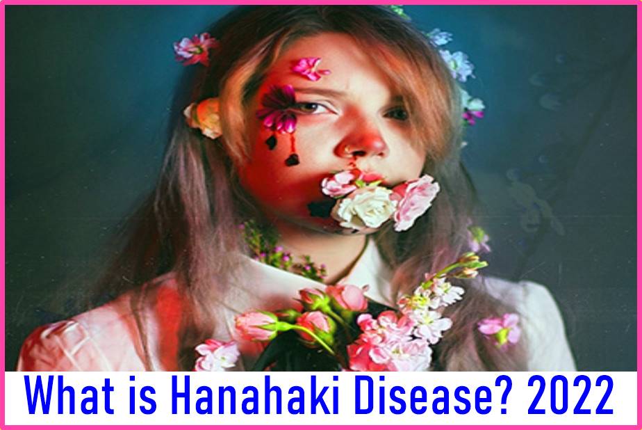 What is Hanahaki Disease 2022