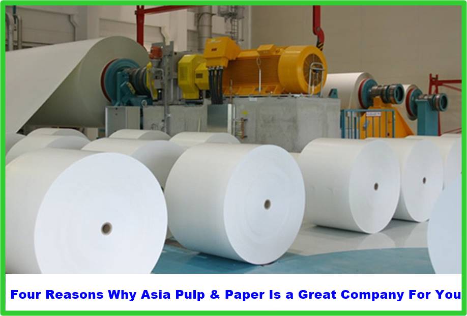 Four Reasons Why Asia Pulp & Paper Is a Great Company For You