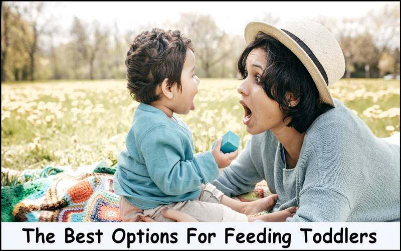 The Best Options For Feeding Toddlers