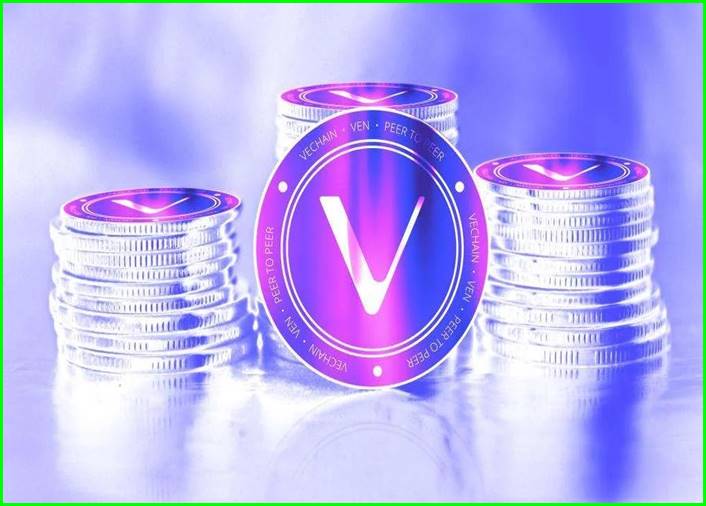 Securing VeChain: A Safe Environment for Trading and Investment