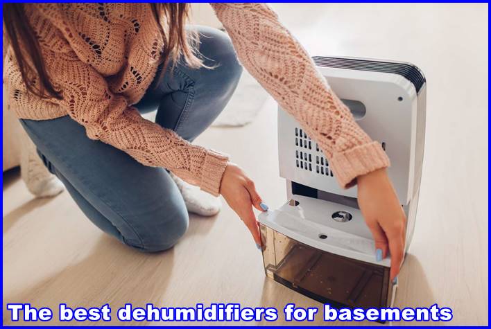 The best dehumidifiers for basements