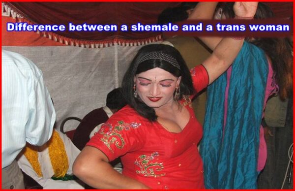 Difference Between Transman And Transwoman