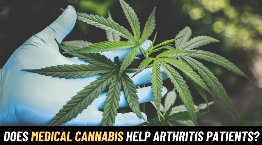 Does Medical Cannabis Help Arthritis Patients? 