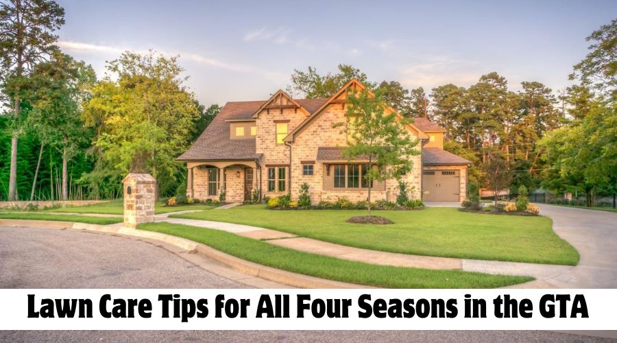 Lawn Care Tips for All Four Seasons in the GTA
