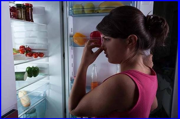What to do when your fridge water tastes bad?