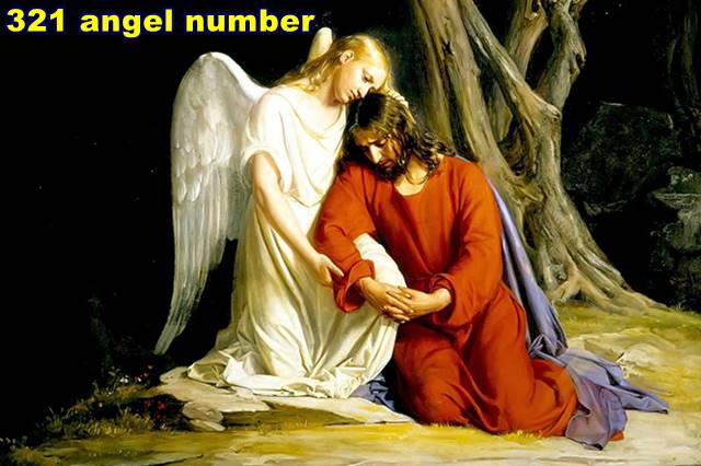 321 angel number